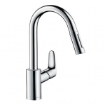 Hansgrohe Focus        31815