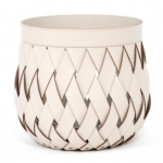 Pinetti Canaria ������� ������� ������� ������� M Cream