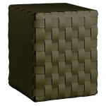 ��� ������� ������� Olive