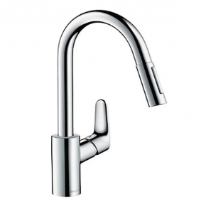      . Hansgrohe Focus        31815