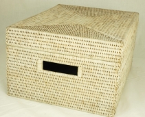 ¸    ¸.  Rattan     