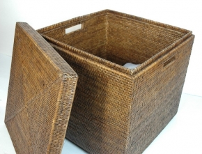 ¸    ¸.  Rattan      