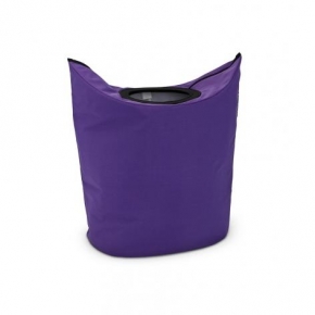 .    Brabantia Pansy purple  