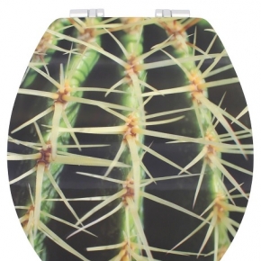 CACTUS      3D  