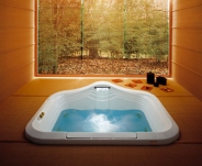 . Jacuzzi    FONTE