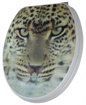 . Leopard    3D  