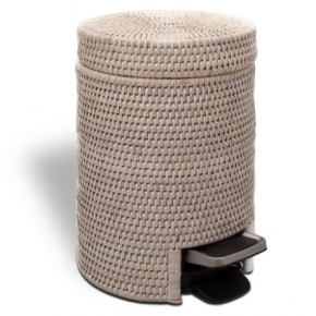 ¸    ¸.     Rattan 