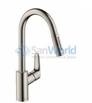 Hansgrohe Focus       