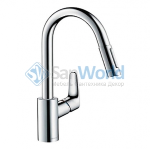 Hansgrohe Focus        31815