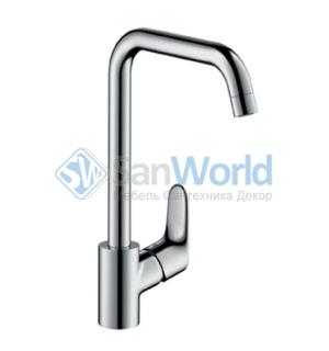 Hansgrohe Focus    